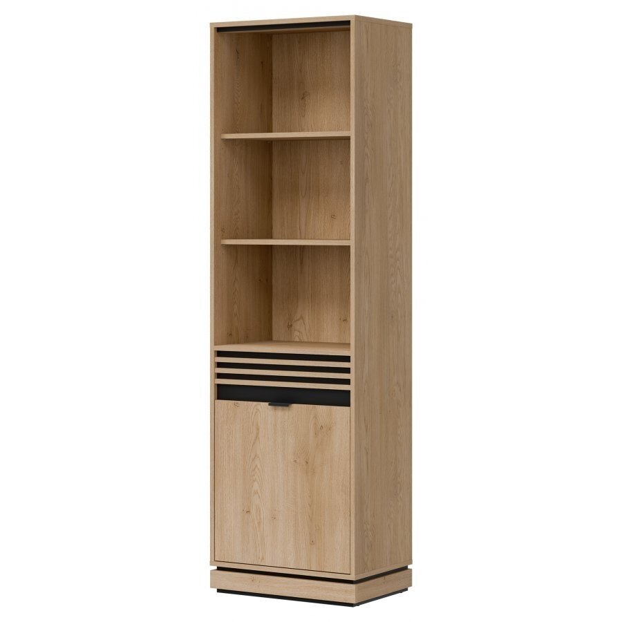 Pastatoma lentyna "FERRO" 1