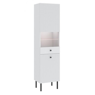 Vitrina "VIENA" 2D